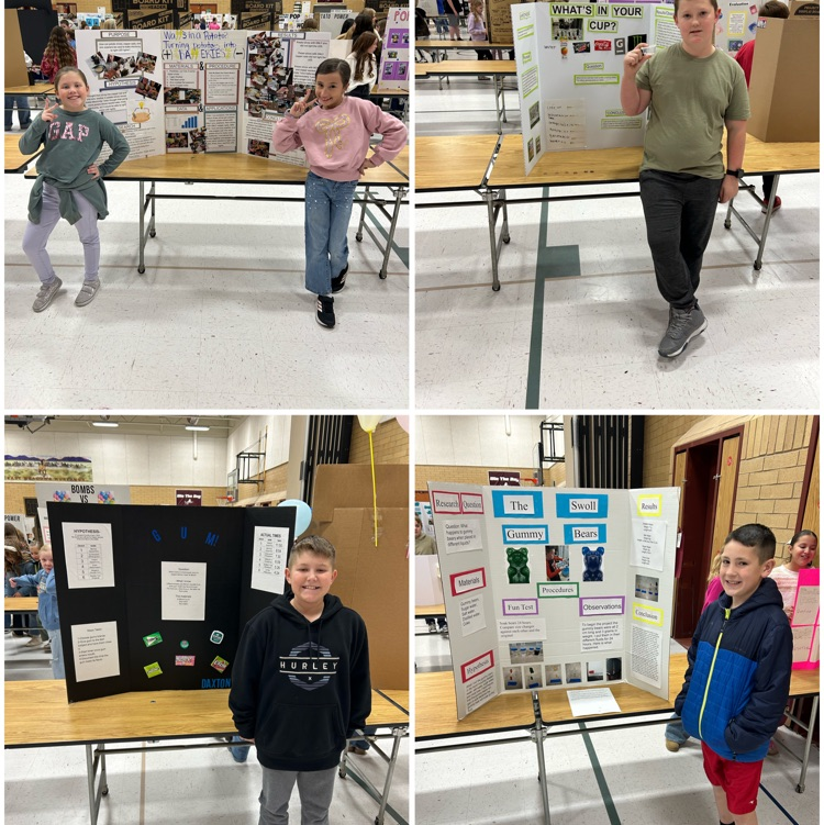 science fair 