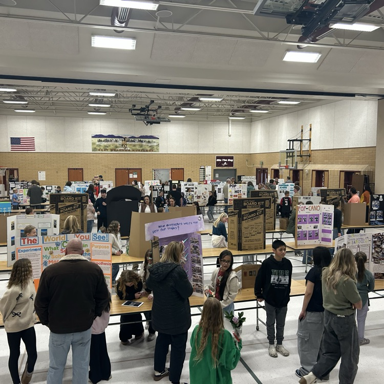 science fair 