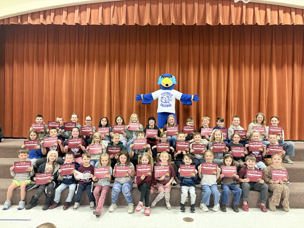 January Falcons of the Month