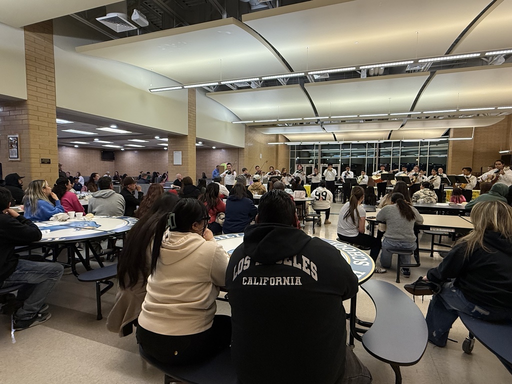 Mariachi Bands performing at Latino Parent Night