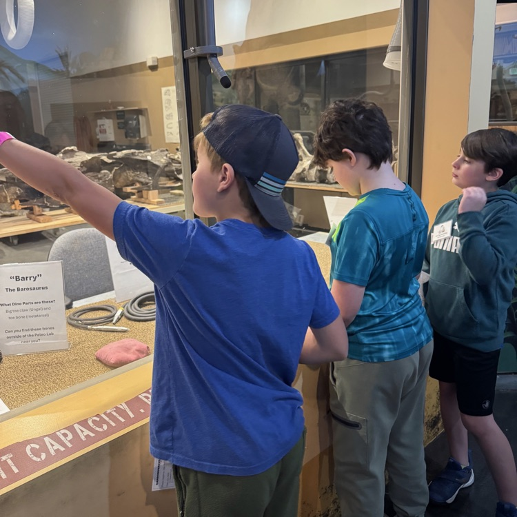 students observing  displays 