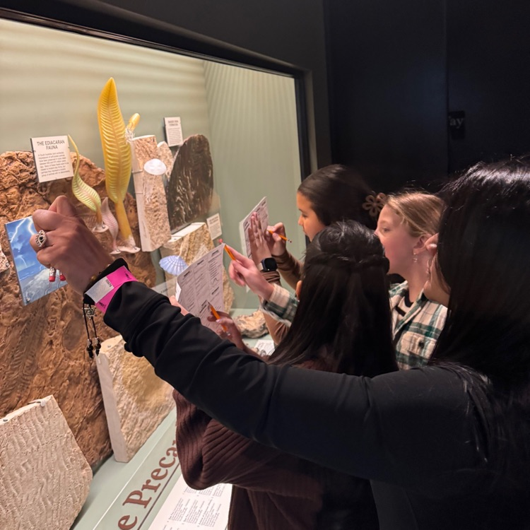 students observing   displays 
