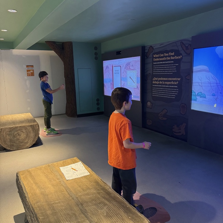 students observing   displays 