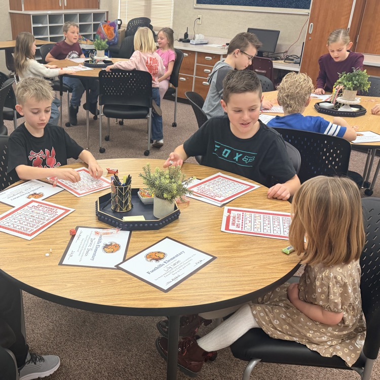 Falcon Board Winners