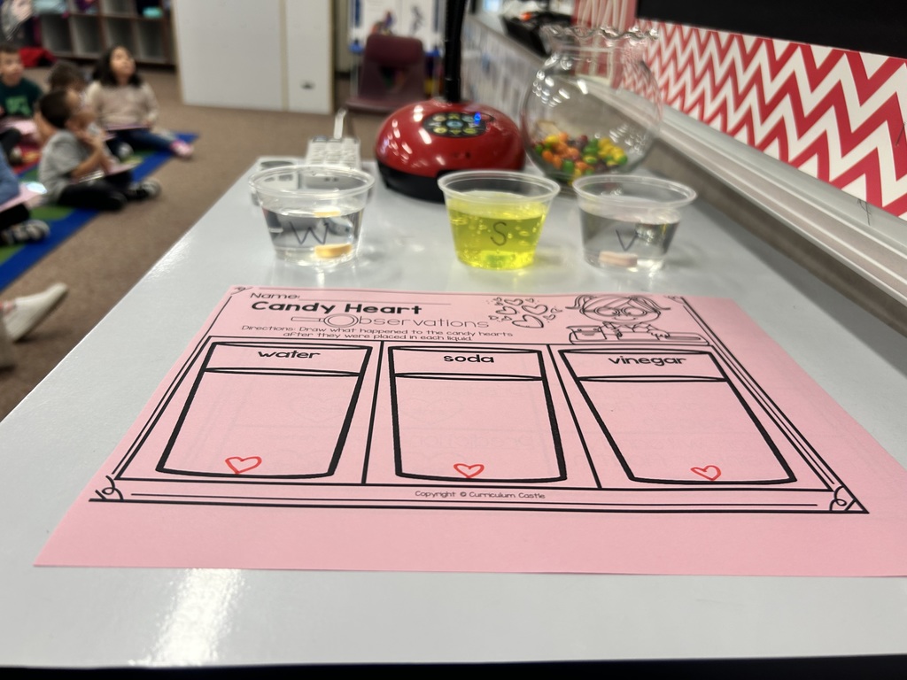 photo of science experiment 