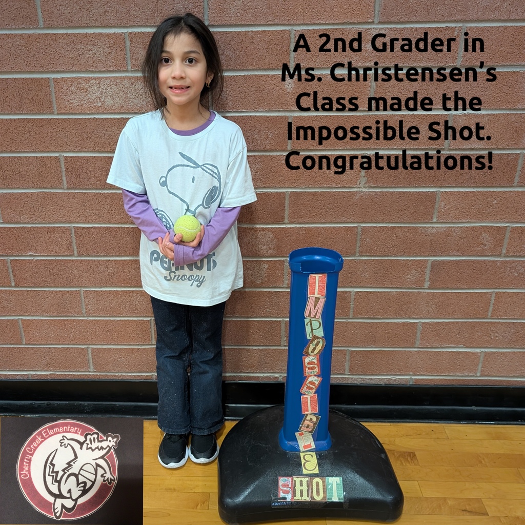 2nd Grader makes the Impossible Shot
