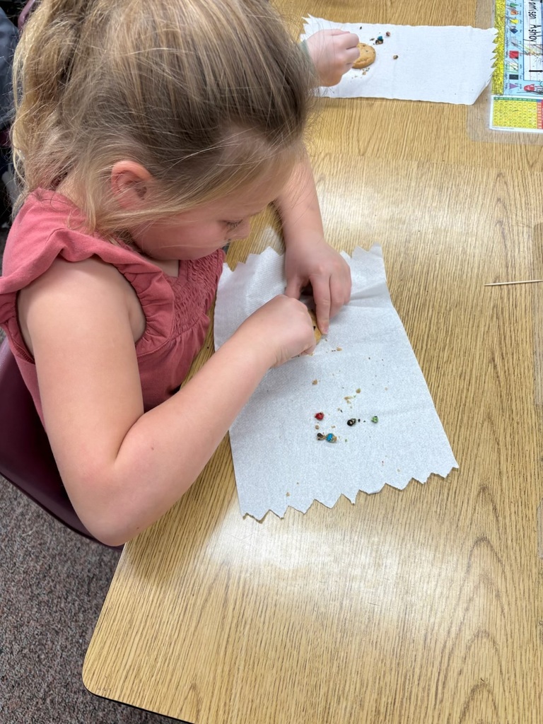 First Grade Scientists