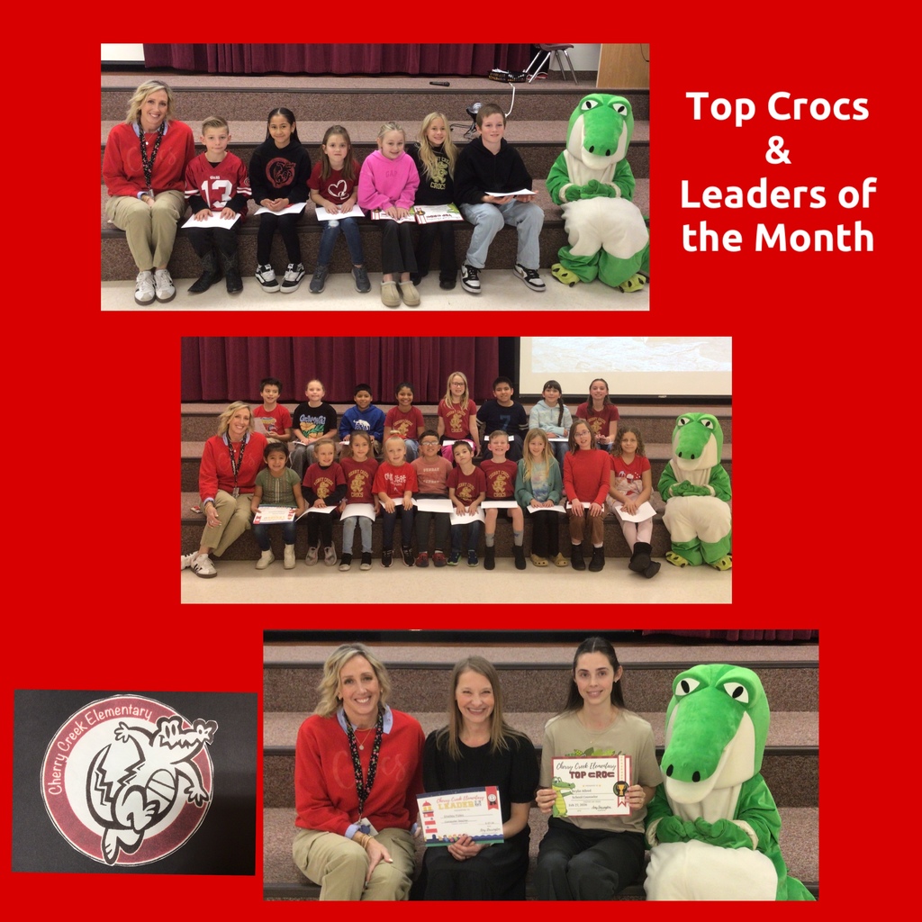 Top Crocs and Leaders of the Month