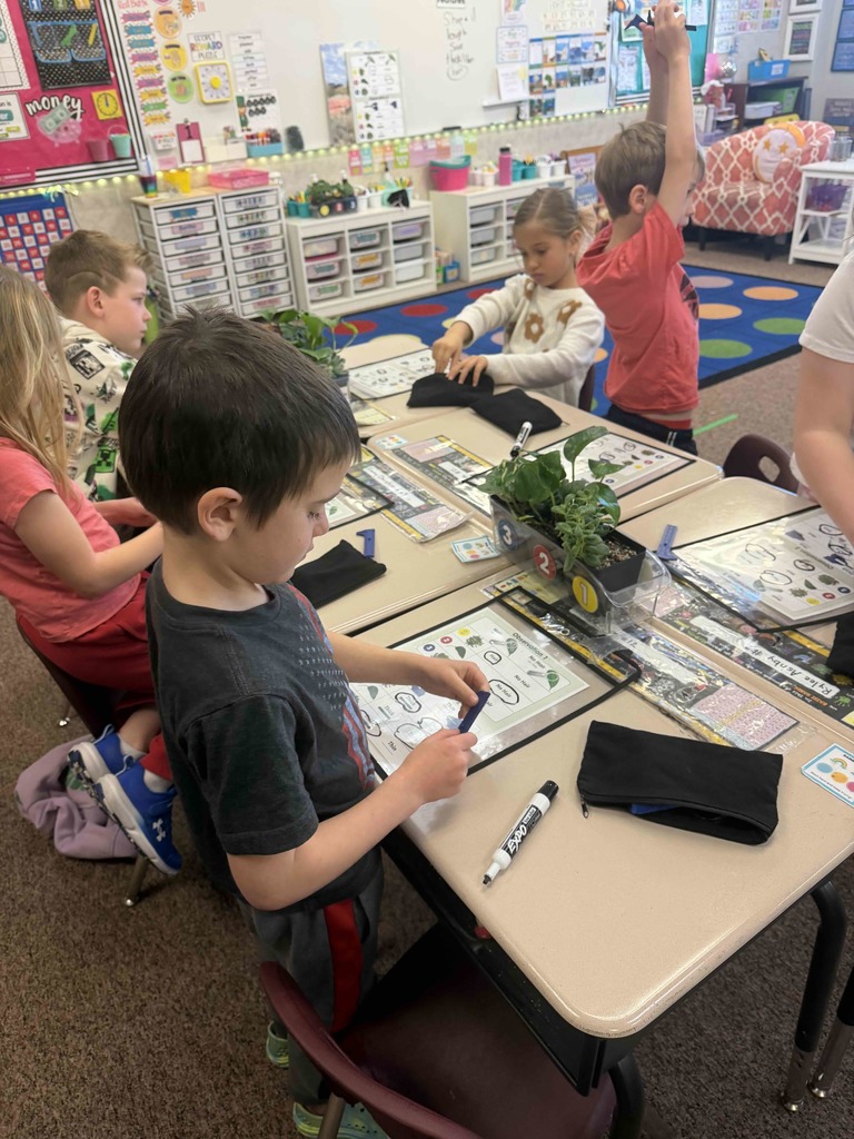 Students doing an activity and looking at plants.