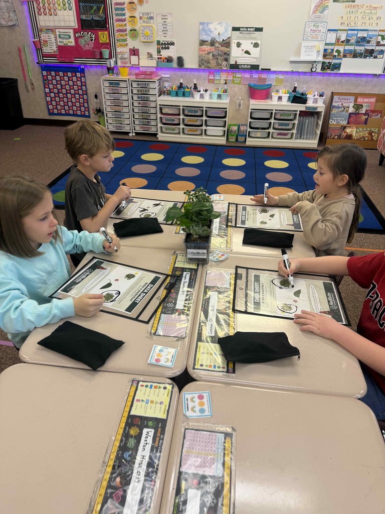 Students doing an activity and looking at plants.