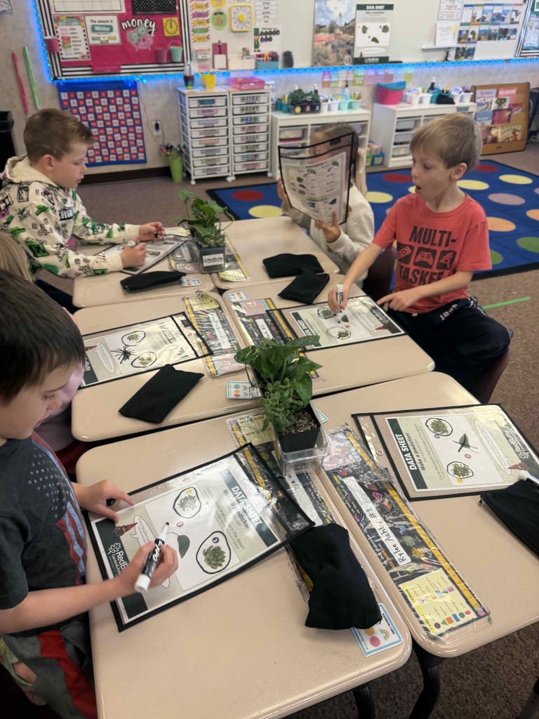 Students doing an activity and looking at plants.