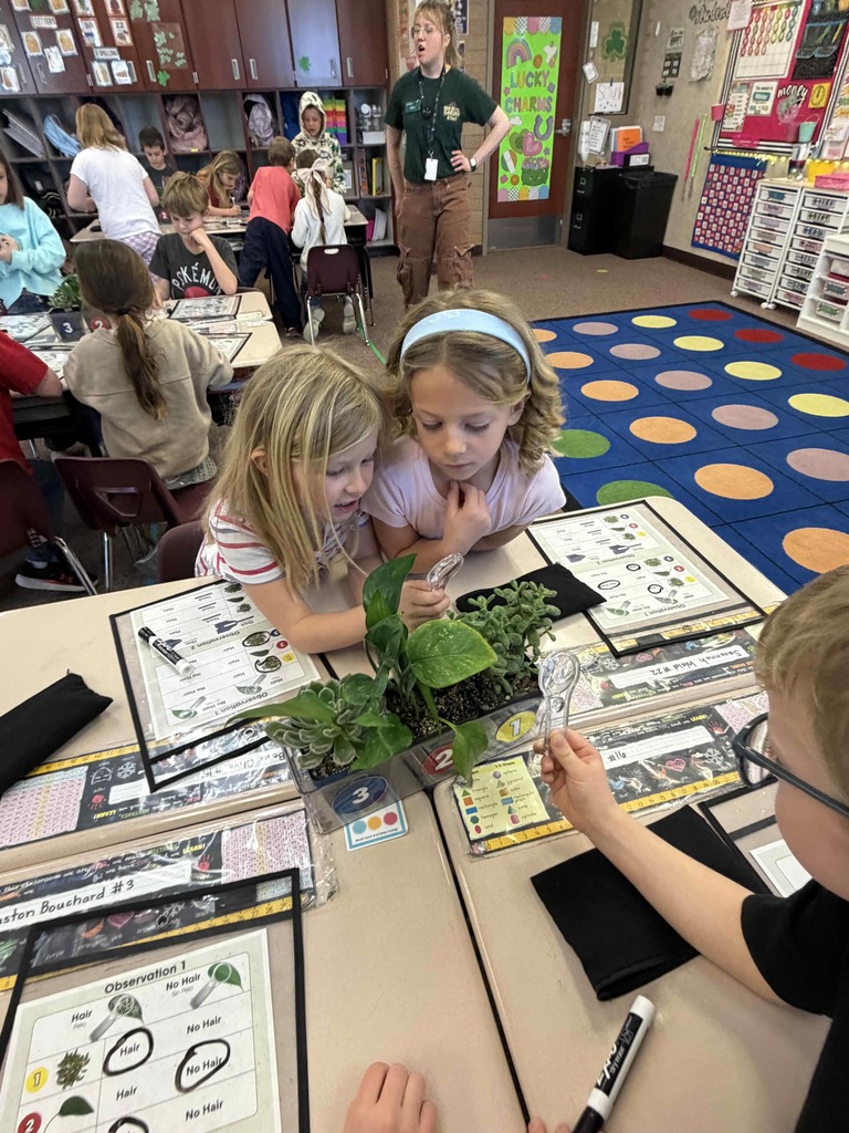 Students doing an activity and looking at plants.