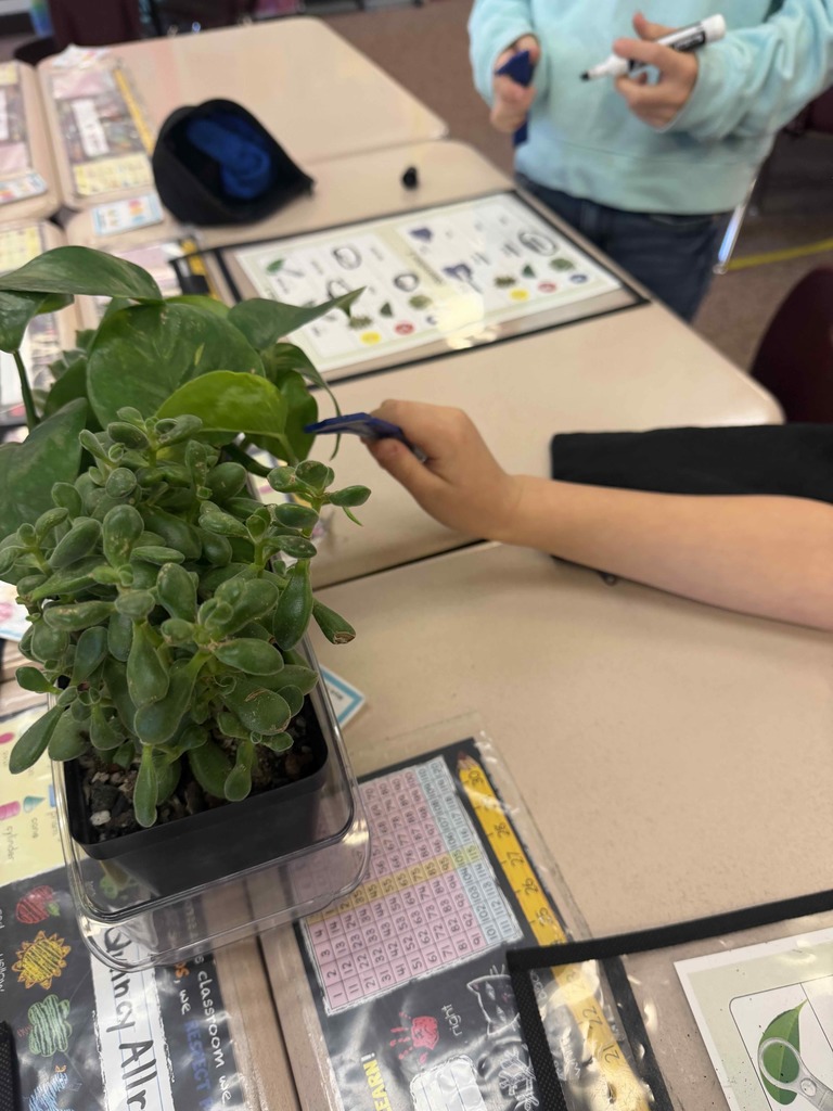Students doing an activity and looking at plants.