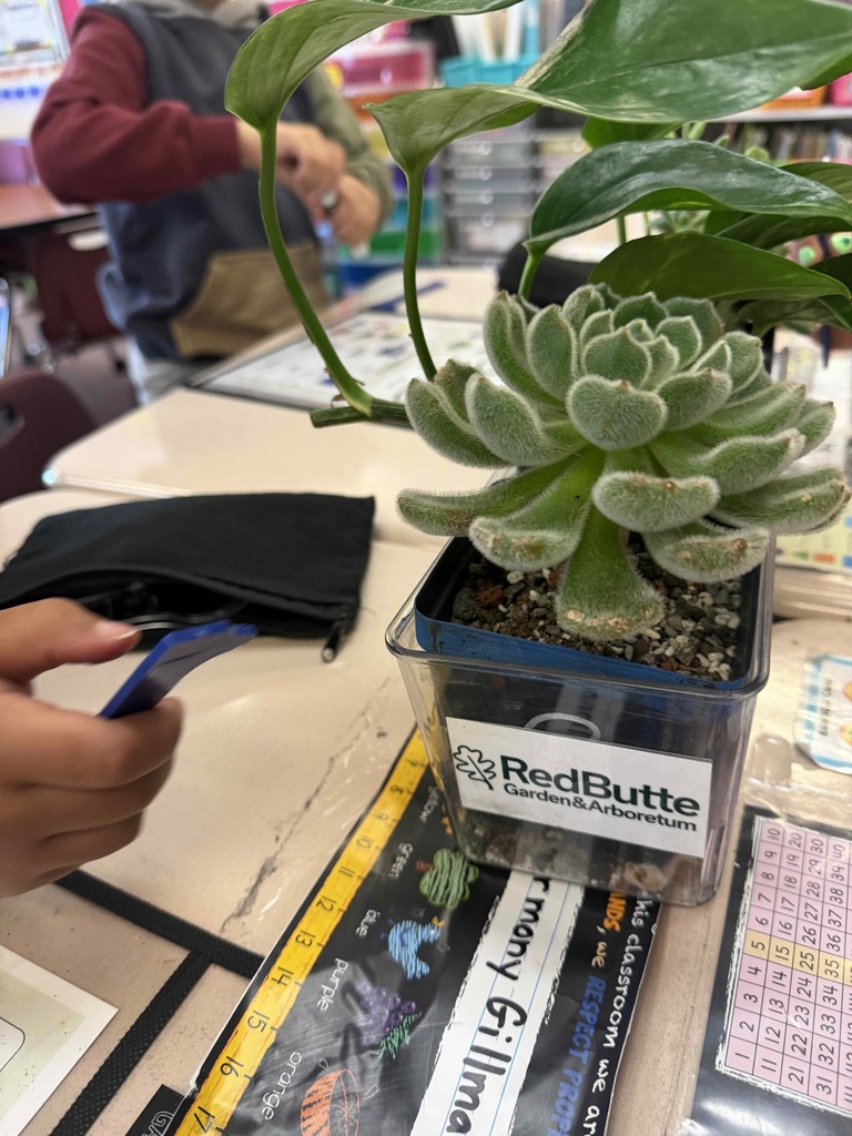 Students doing an activity and looking at plants.