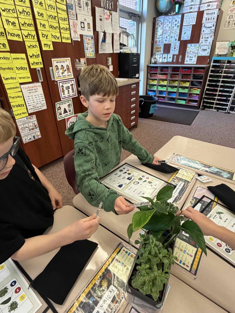 Students doing an activity and looking at plants.