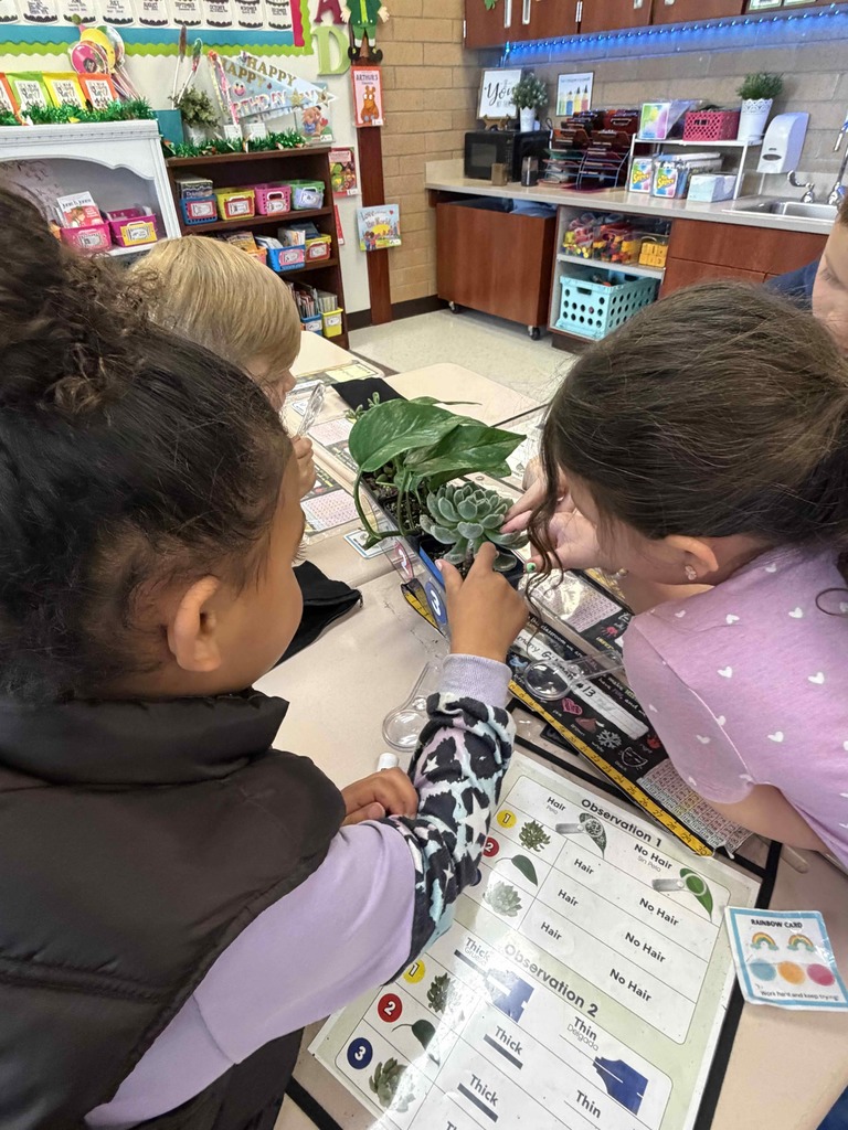 Students doing an activity and looking at plants.
