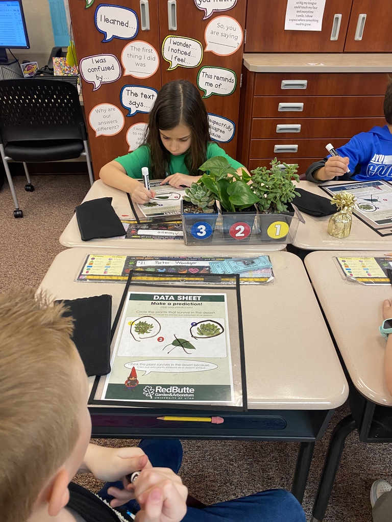 Students looking at plants.