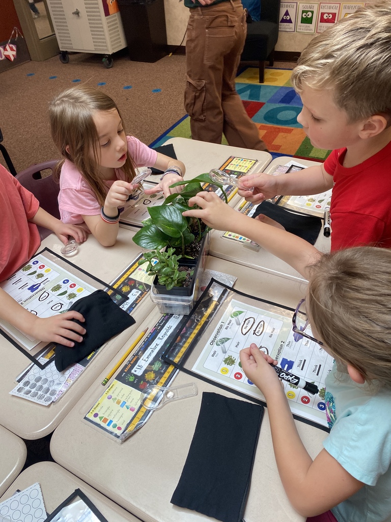 Students looking at plants.