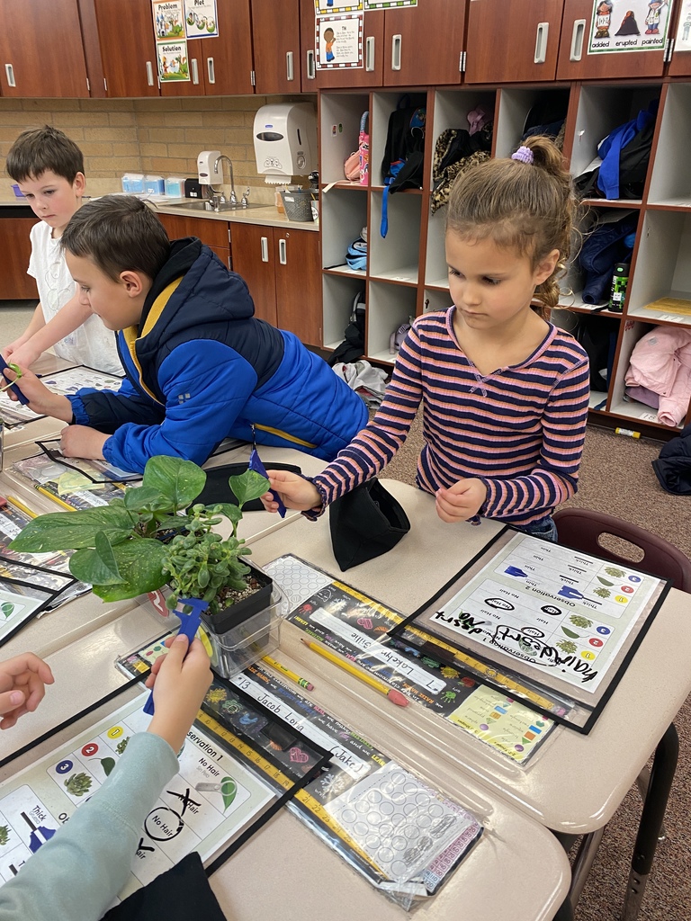 Students looking at plants.