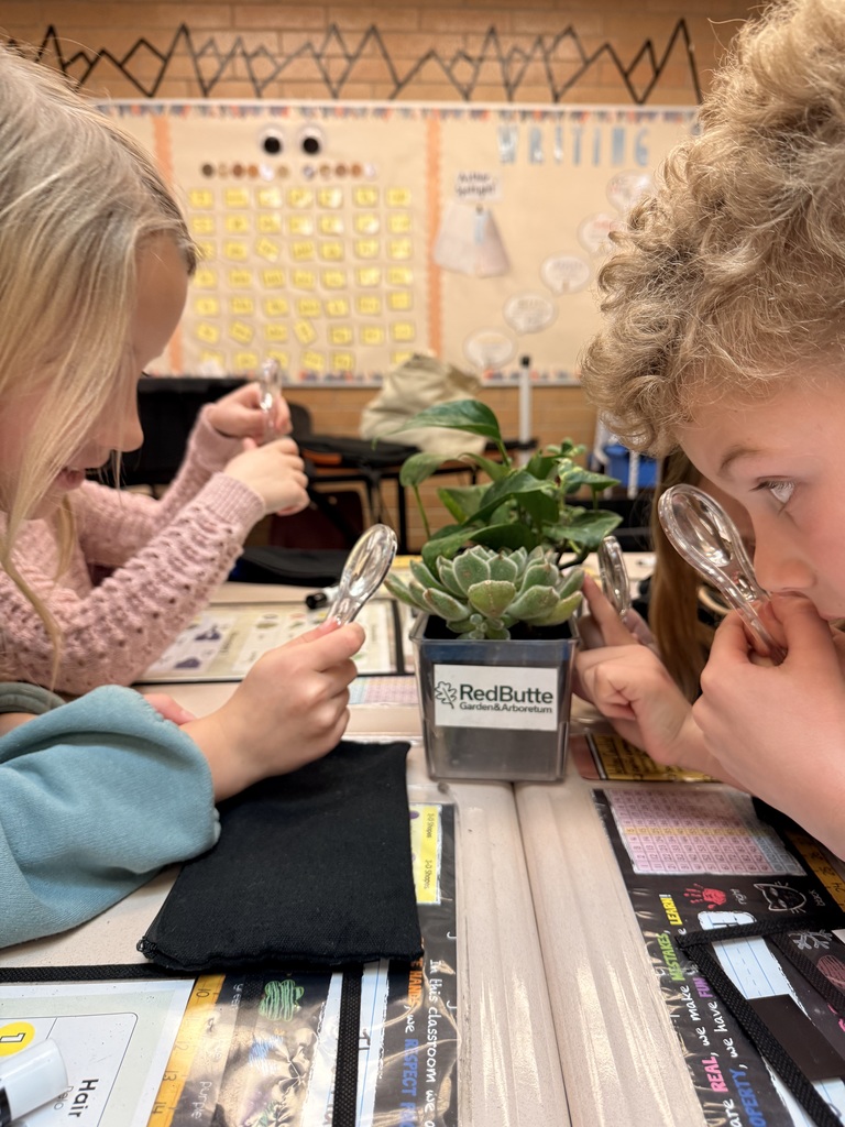 Students looking at plants.