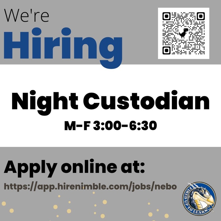 Night Custodian 