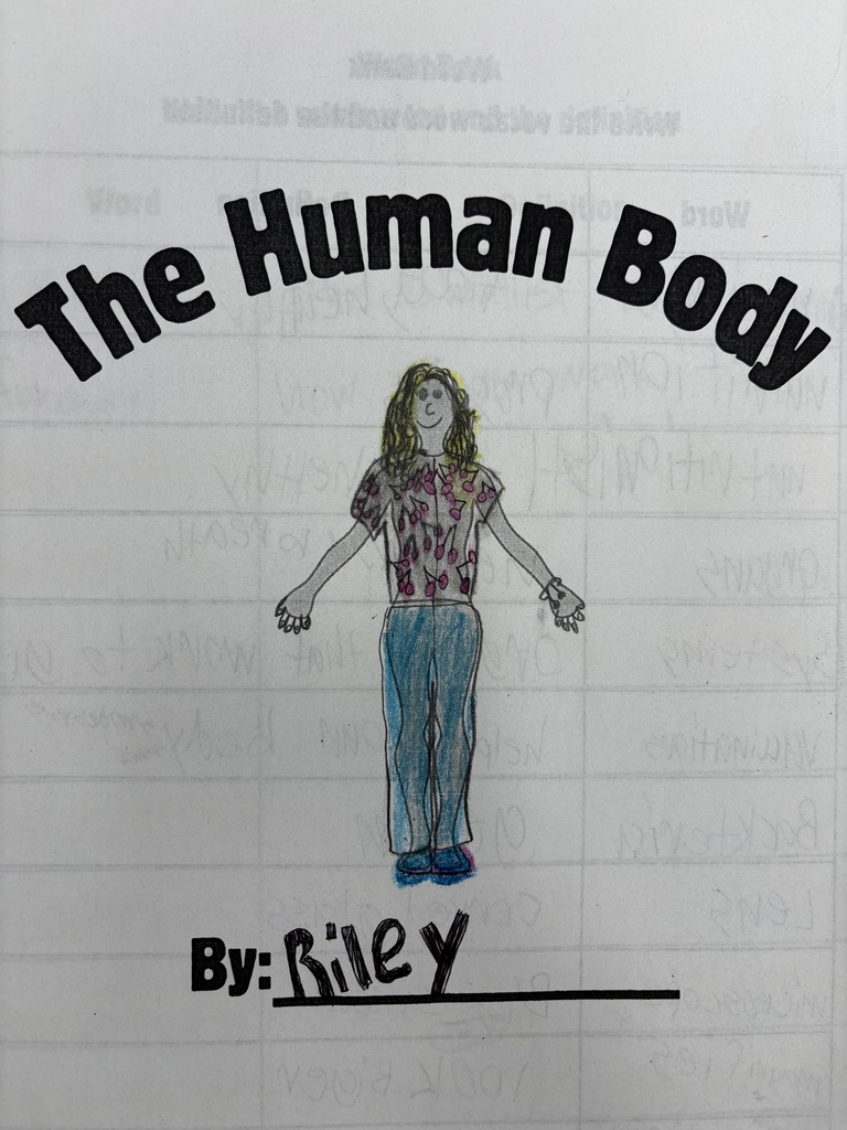 photo of the human body colored by a student 
