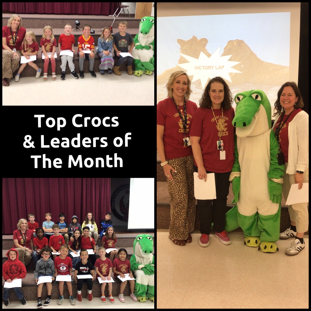 Top Crocs & Leaders of the Month