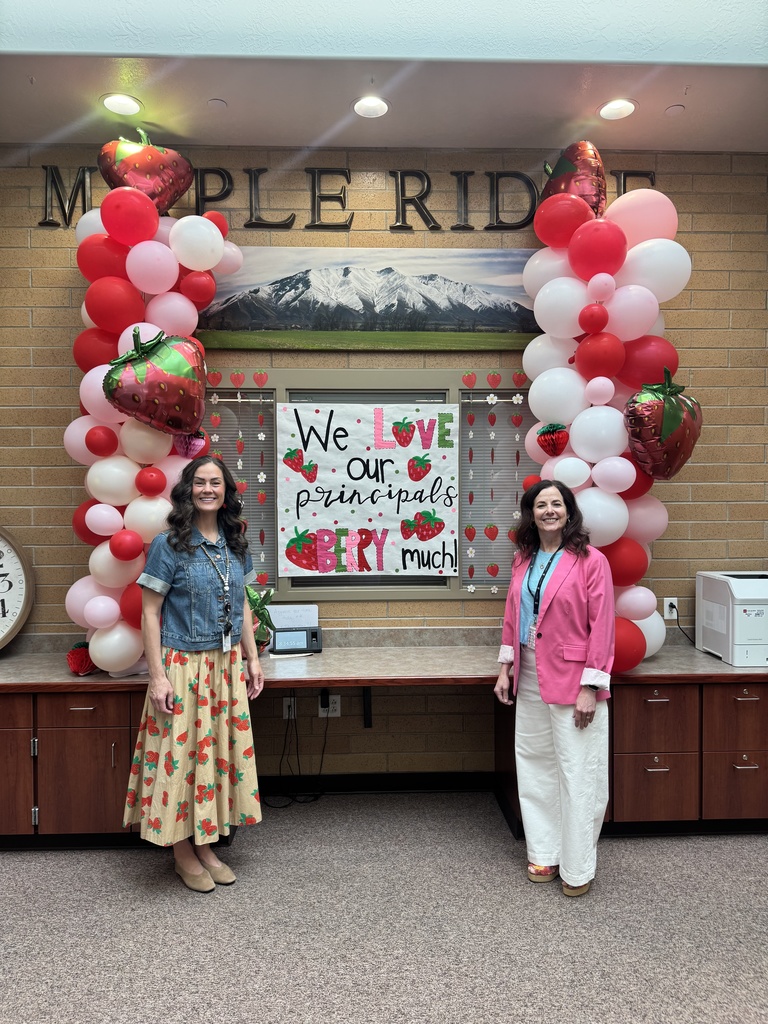 Ms. Steiner and Mrs. Matis in the office.