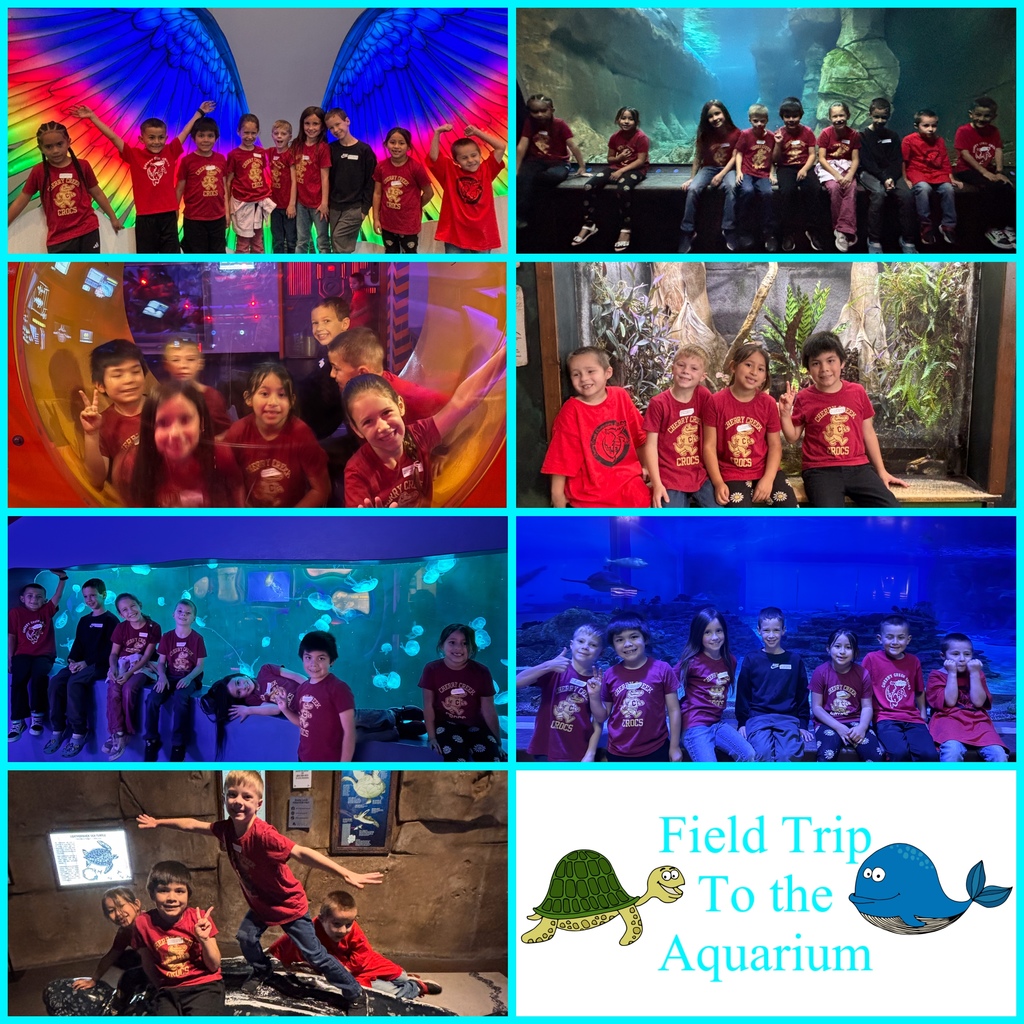 Field Trip to the Aquarium