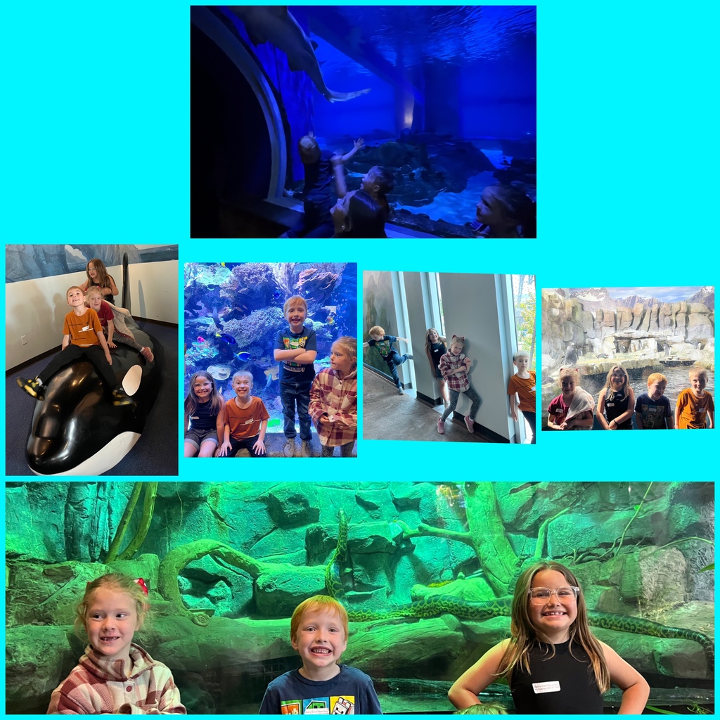 Field Trip to the Aquarium