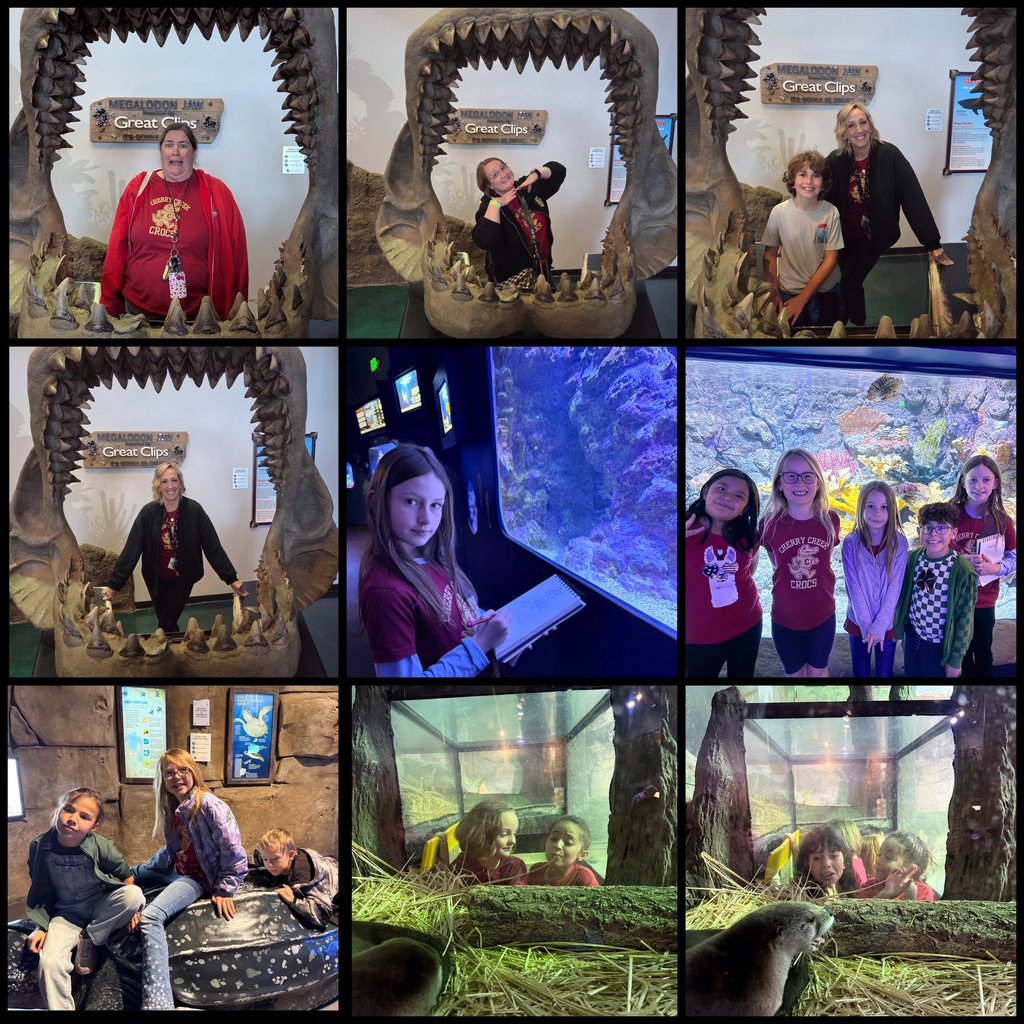 Living Planet Aquarium