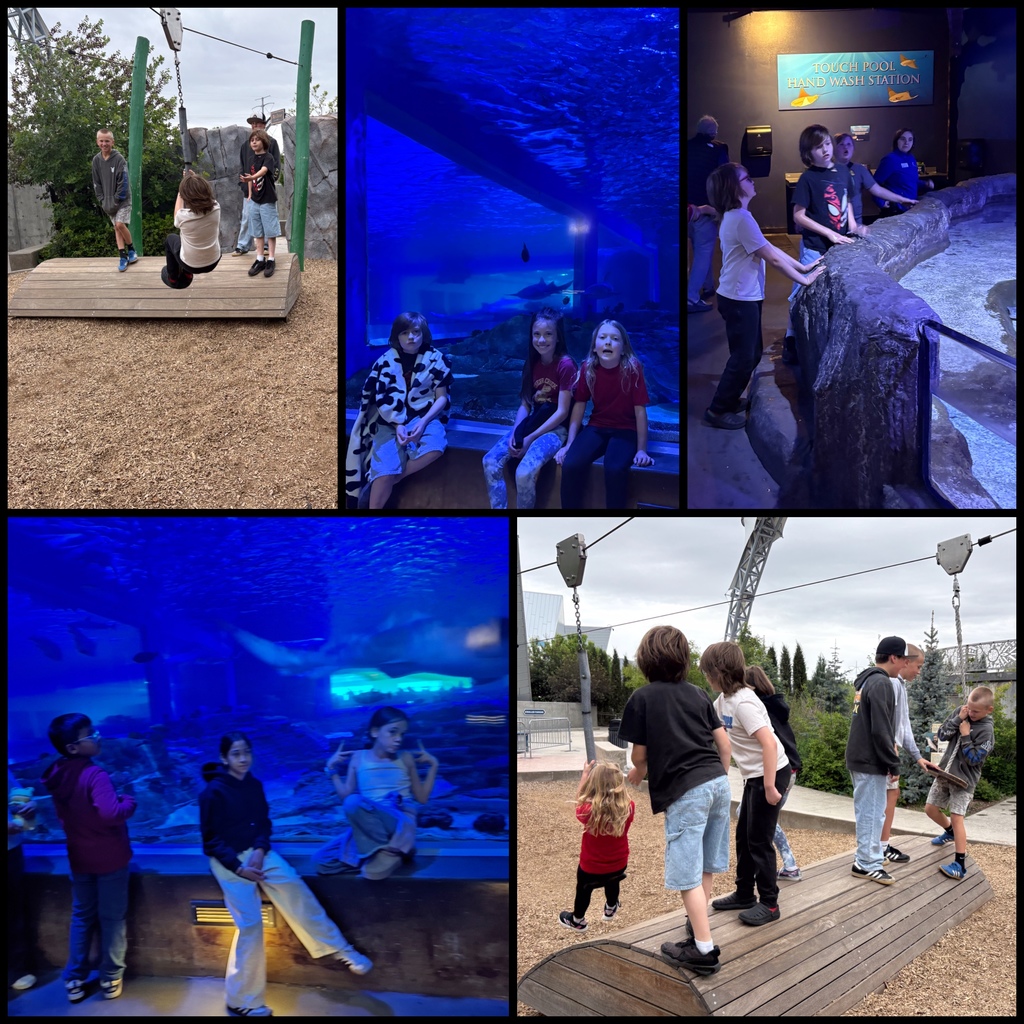 Living Planet Aquarium