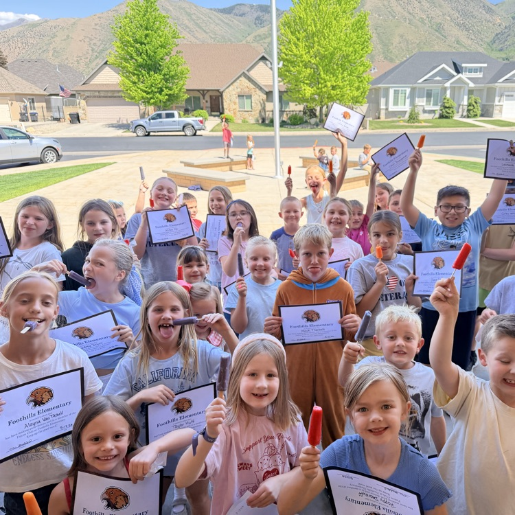 Falcon Board Winners