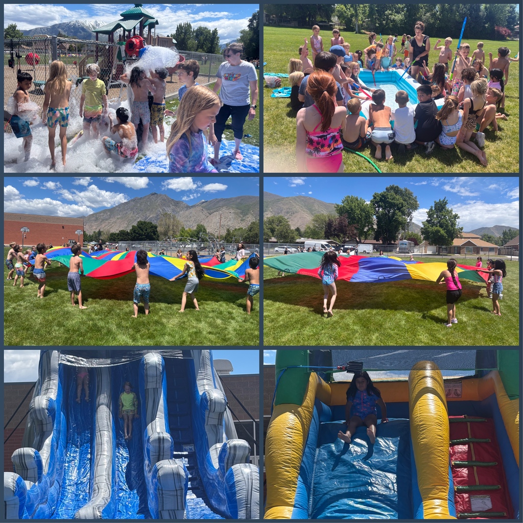 Field Day Activities