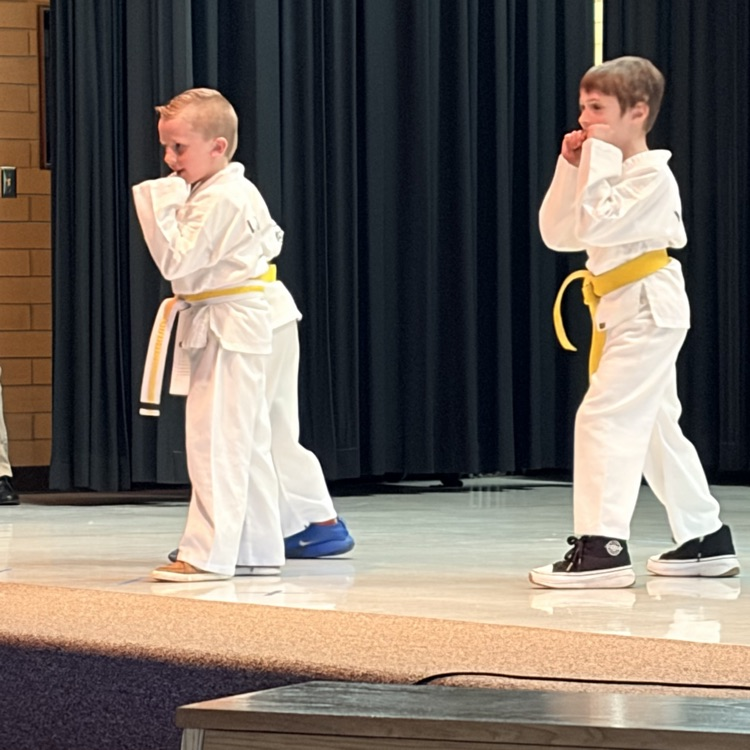 3 boys doing karate
