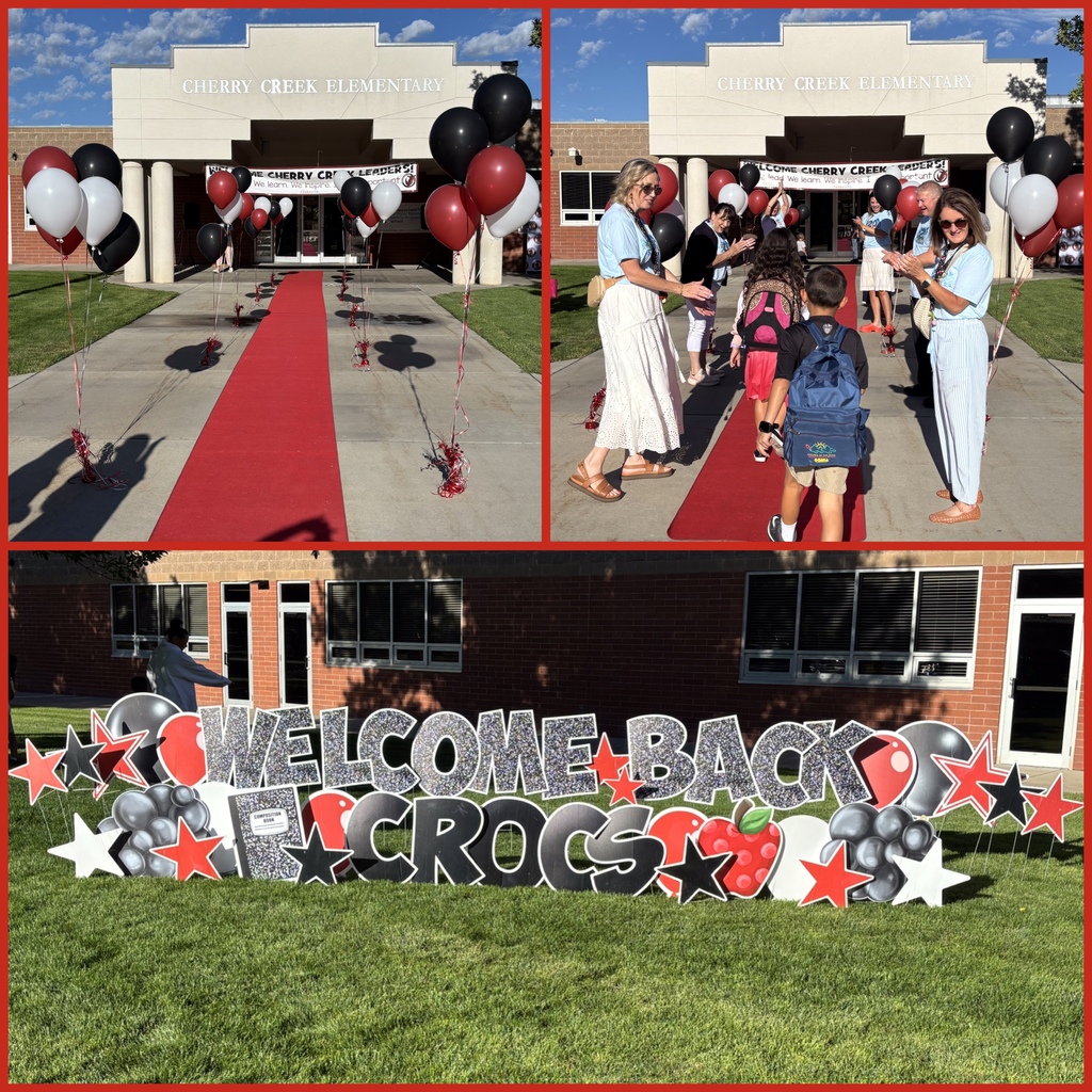 A Red Carpet Welcome 