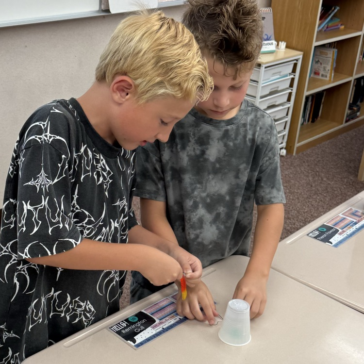 stem activity