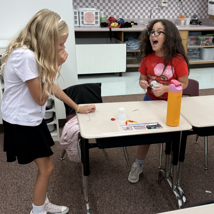 stem activity