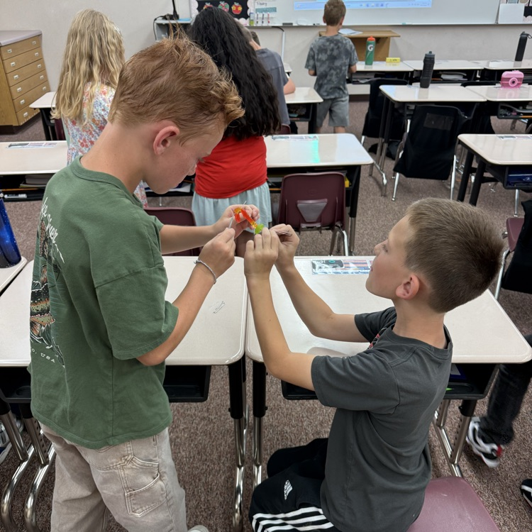 stem activity
