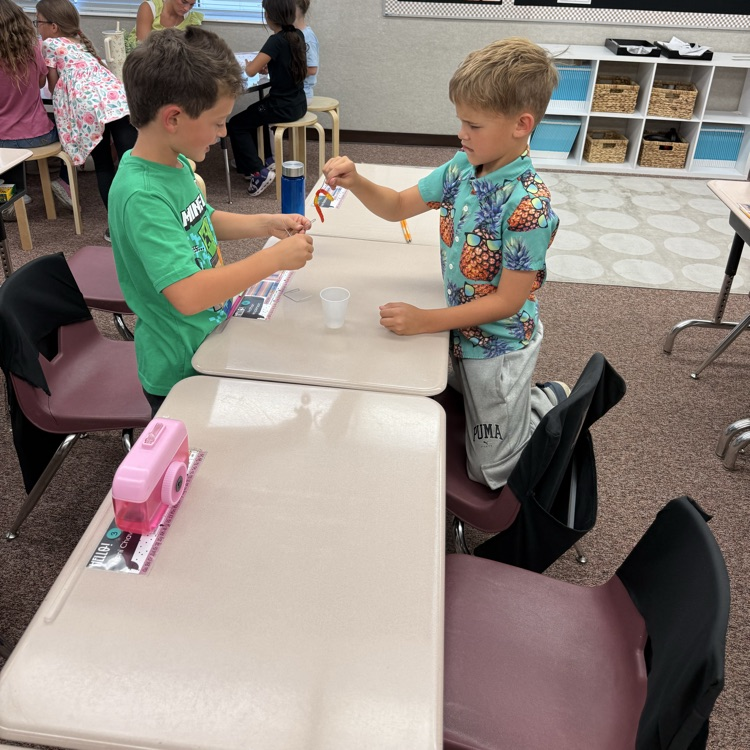 stem activity