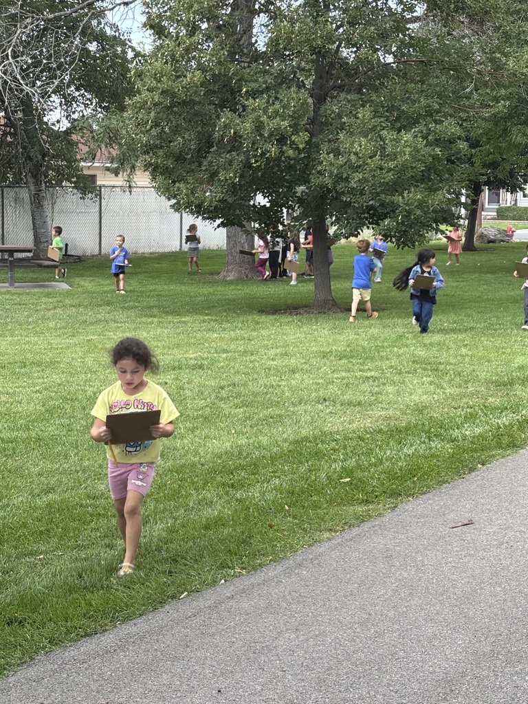 Summer Walk