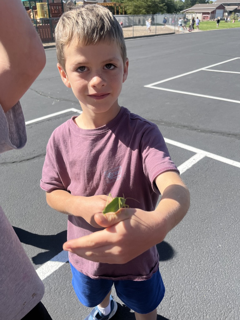 student found a fun bug