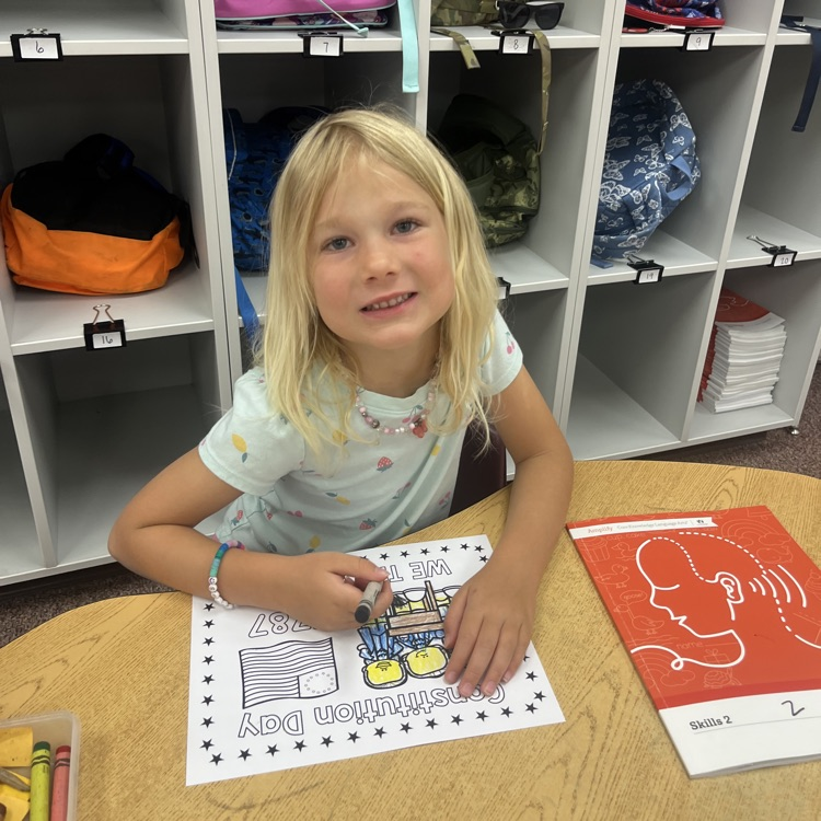 Constitution Day Projects