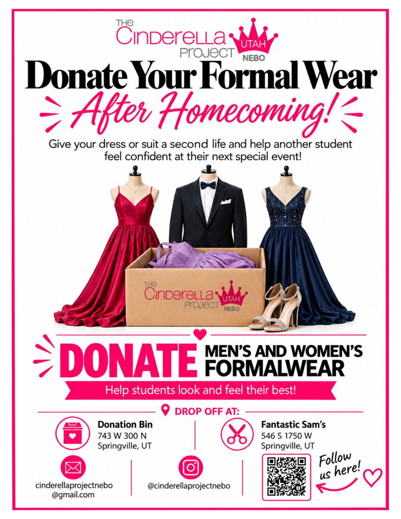 Cinderella Project Flyer