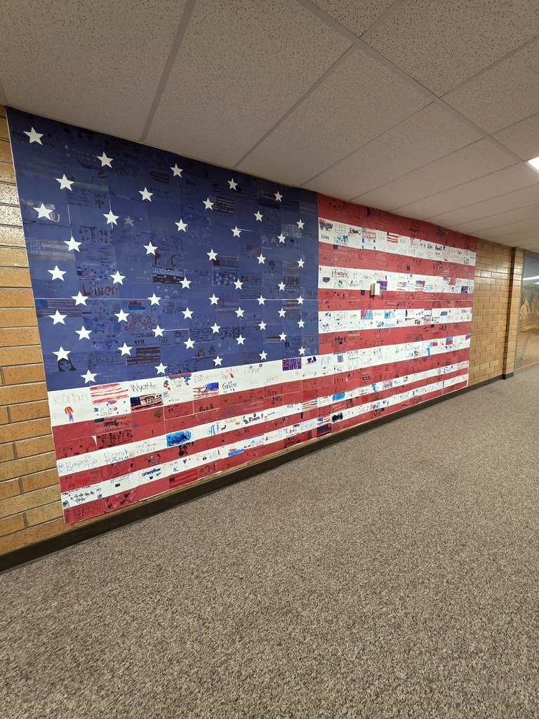 flag art installation