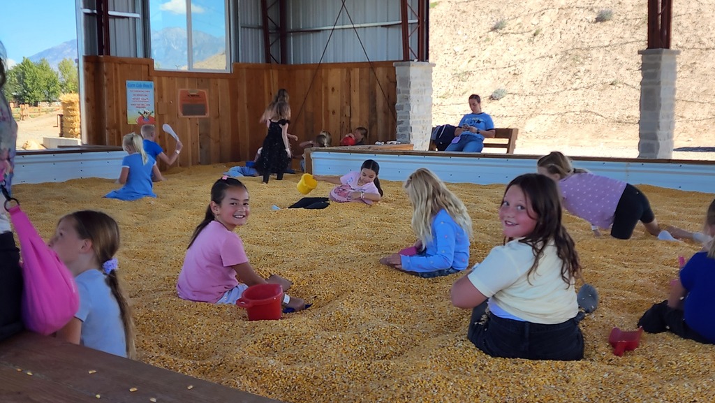 Students enjoying a variety of fun activities and attractions during their visit to Cornbelly’s.