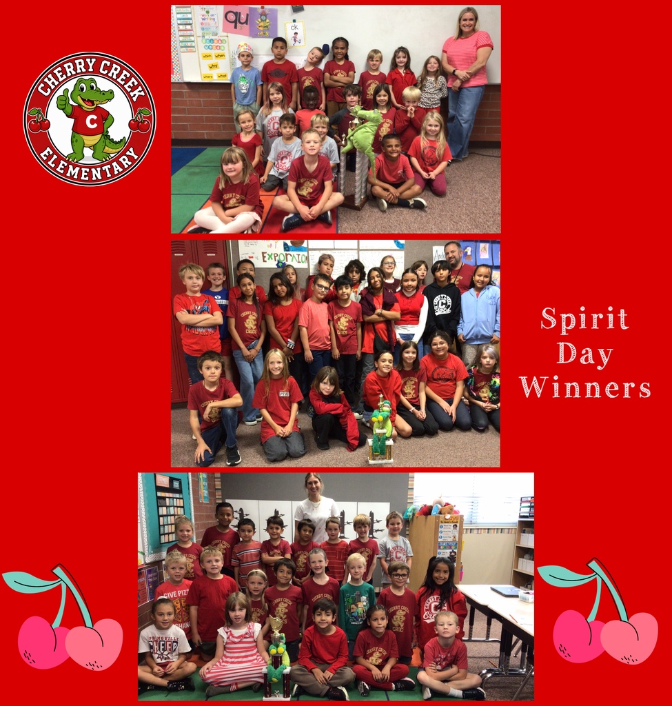 Spirit Day Winners
