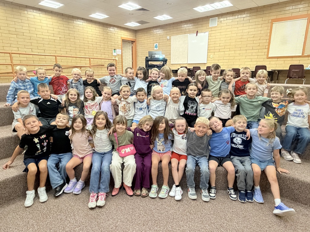 Students participating in a Falcon Flight lesson by playing Four Corners, talking with classmates, and building connections with other Falcons.