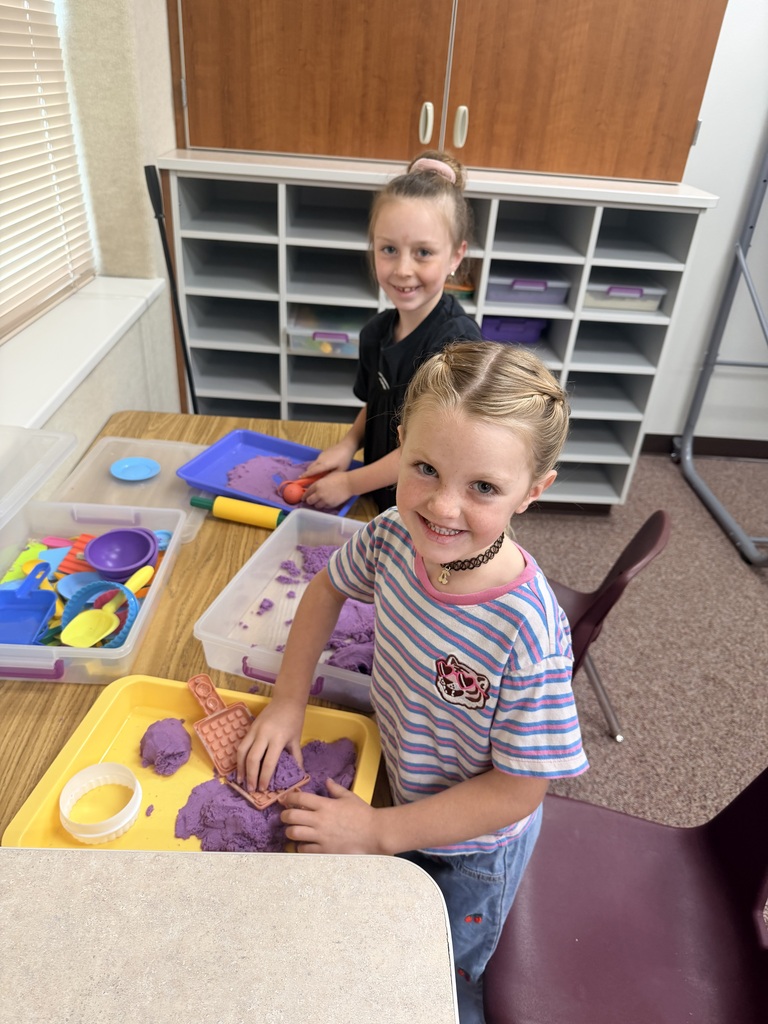 Falcons playing in the Fun Room!