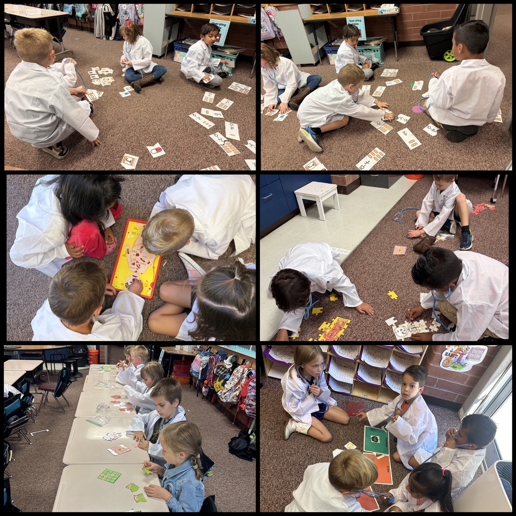 Learning about the Human Body